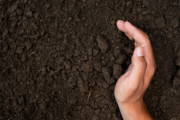 Farmer hands take fertile soil