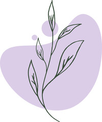 Hand drawn leaf line art with aesthetic shape or aesthetic blob simple decoration