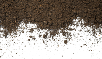 Scattered soil isolated