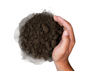 hand holding soil