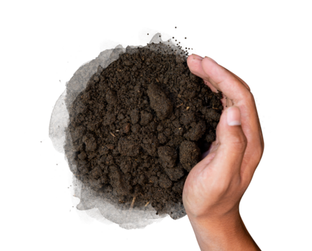 hand holding soil