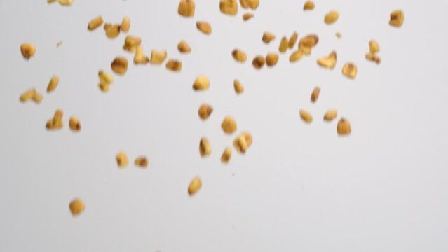 Dried crunchy corn kernel nuts raining down on white backdrop in slow motion