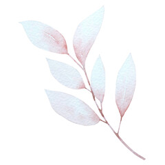 branch with leaves © Aekkasit watercolors