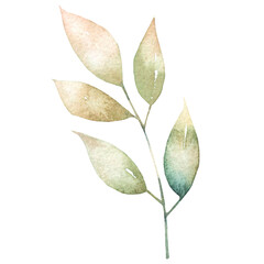 green leaf isolated on white