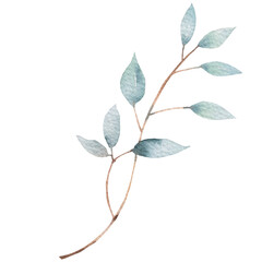 leaves isolated on white