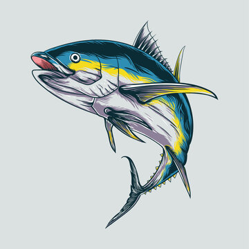 Tuna Fish Vector, Hand Drawing Tuna Fish, Tuna Fish Logo  Illustration Isolated Vector Image