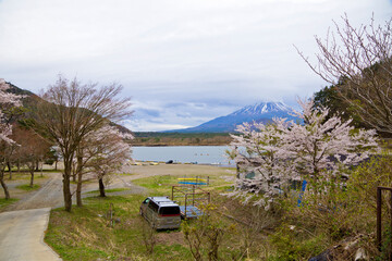 Lake shoji in spring, Fuji 5 lakes in Yamanashi prefecture, Chubu, Japan.