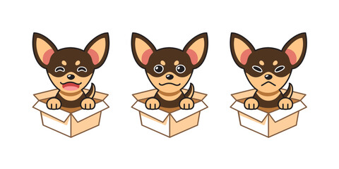 Vector cartoon illustration set of chihuahua dog showing different emotions in cardboard boxes for design.