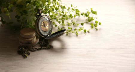 テーブルの上の緑の植物と懐中時計、ペペロミアジェミニ