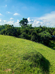 grass and blue sky