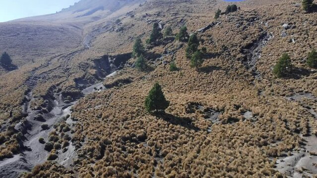 a drone footage shot of a pine tree in the high lands of a volcano called the malinche in tlaxacala an puebla landscape with mountains