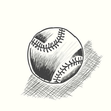 Baseball softball vector illustration in black. Detailed vintage style drawing
