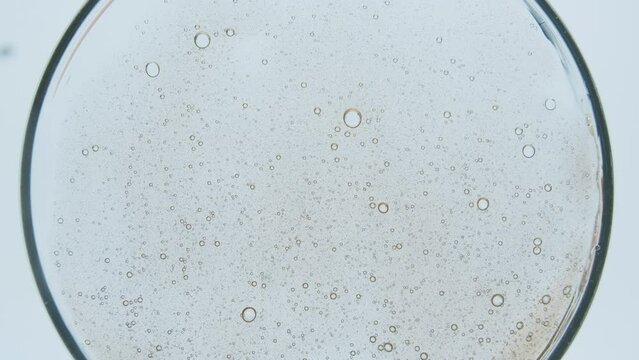Macro Shot of air Bubbles in Transparent Cosmetic Liquid Gel Cream. Petry dish. Cosmetic Fluid texture With Bubbles. Cosmetics based on citrus. Creative. Aloe vera.