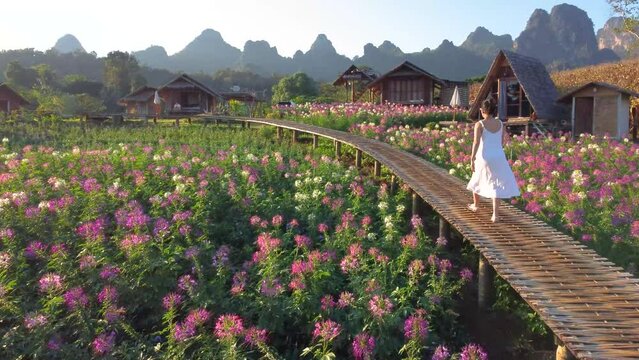 Beautiful aerial landscape view scenery during sunrise at Doi Luang Chiang Dao, Chiang Rai province in Thailand.