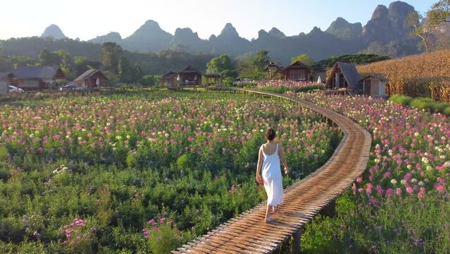Beautiful aerial landscape view scenery during sunrise at Doi Luang Chiang Dao, Chiang Rai province in Thailand.