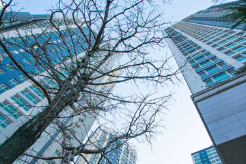apartment building exterior, residential house facade