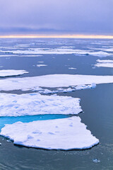 Drift ice in arctic ocean