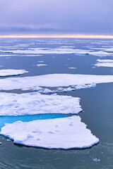 Drift ice in arctic ocean © Lars Johansson