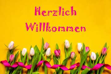 Colorful Tulip, Herzlich Willkommen Means Welcome, Ribbon, Yellow Background