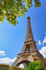 Eiffel Tower in summer season with the frame of trees, Paris. France