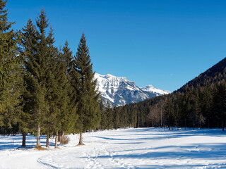 Pertisau am Achensee Tristenau-Rundweg im Winter. Langlaufloipen und wanderweg in Ruhe Waldluft und Naturpark Karwendel mit Blick auf das Rofanmassiv 