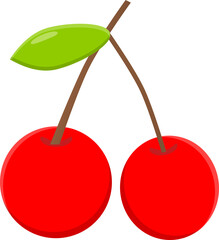 cherry fruit with branch object isolated png