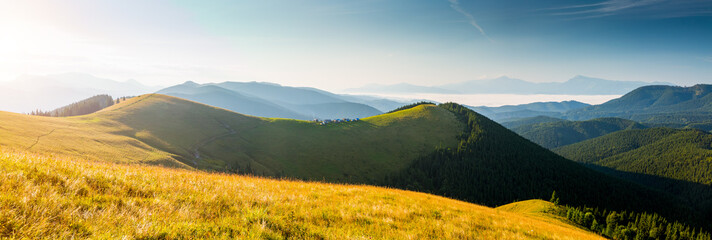 Morning mountain meadows illuminated by the sun on a summer day. Carpathian mountains, Ukraine.