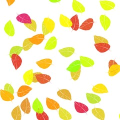 Obraz premium autumn leaves background