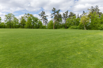 Obraz na płótnie Canvas Big lawn with low grass on background of different trees