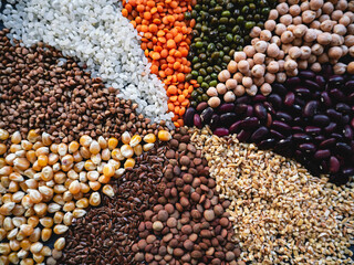 Autumn harvest of grain grain, full screen of whole grains. Different cereal background.