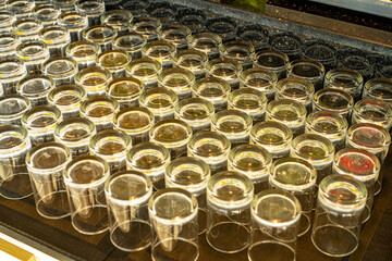 Obraz premium tubes in a row glass cup