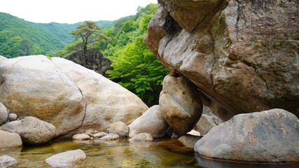 Fototapeta na wymiar Beautiful summer valley scenery in Korea