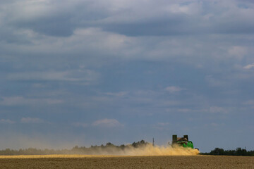 Combine harvester harvests ripe wheat. Ripe ears of gold field on the cloudy sky background. . Concept of a rich harvest. Agriculture image