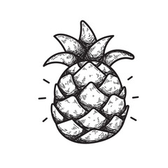 Pineapple Doodle Fruit Element