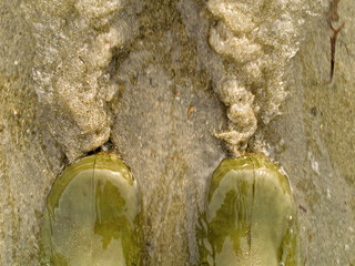 Water streams around boots on beach