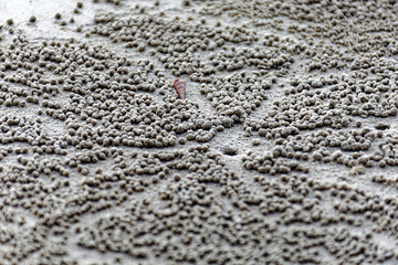 Impressionen von Borneo - Malaysia