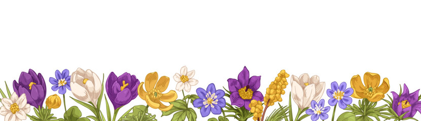 Floral botanical border drawing. Spring blossomed flowers in vintage retro style. Botany banner with blooming wildflowers decoration edge. Hand-drawn vector illustration isolated on white background