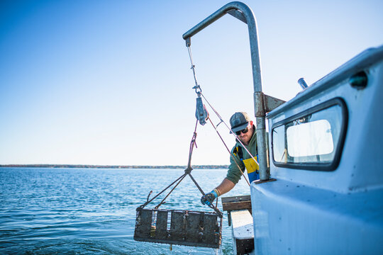 Pulling pots for conch shellfishing on Narragansett Bay