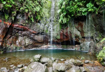 Fototapeten Madeira waterfall - 25 Fontes or 25 Springs in English. Rabacal - Paul da Serra. Access is possible via the Levada das 25 Fontes © TTstudio