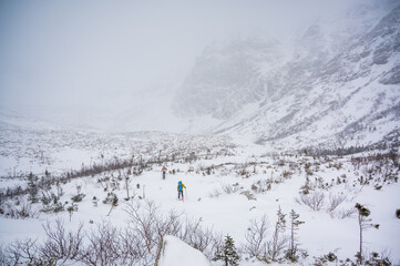 Man skiing through small trees in winter with low visibility