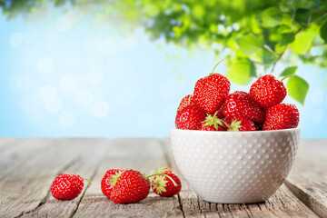 Fresh ripe garden strawberry