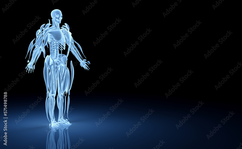 Poster digital x-ray human body holographic scan projection 3d rendering