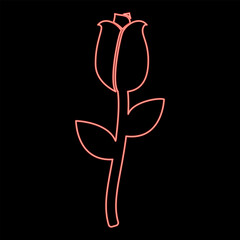 Neon rose red color vector illustration image flat style