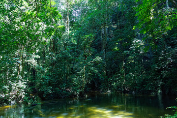 Impressionen von Borneo - Malaysia