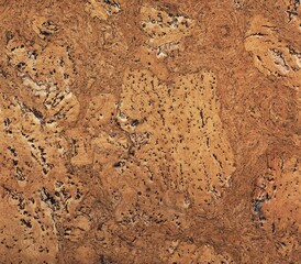 A wood texture from a wall © tracer77