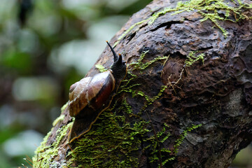 Impressionen von Borneo - Malaysia