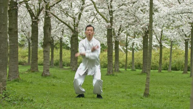 Kung-fu warrior training in kimono in cherry orchard.