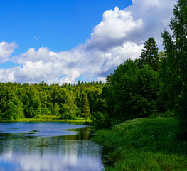 View of the shore of a beautiful forest lake surrounded by deciduous and pine trees