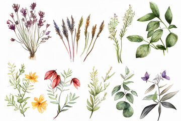 Hand Drawn Watercolor Set of Herbs Wildflowers Made with Generative AI
