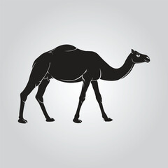 Camel High Detail silhouette Vector
